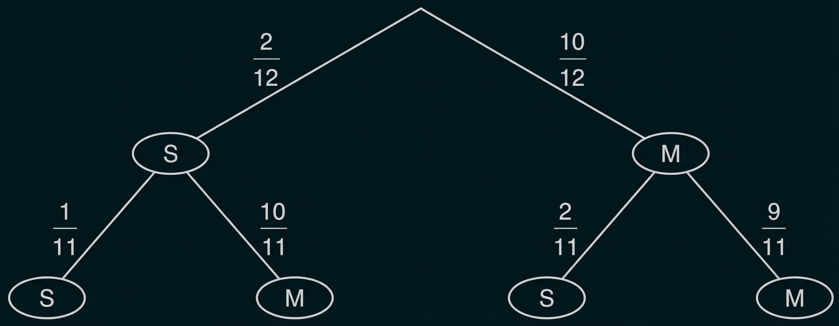 Wahrscheinlichkeitsbaum mit Knoten S und M und Bruchwahrscheinlichkeiten an den Verzweigungen